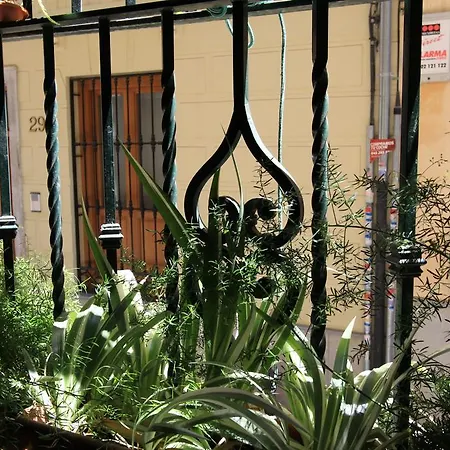 San Diego * גרנדה